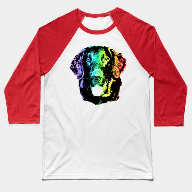 Rainbow Flat-Coated Retriever Baseball T-Shirt by childofthecorn